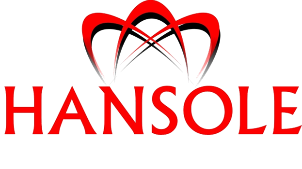 hansole transparent logo